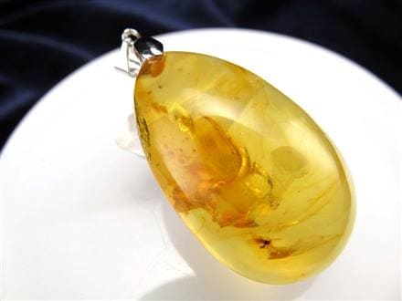 ☆少量限定！激レア商品☆古代の息吹が宿る樹液の化石☆4千年前の虫が 