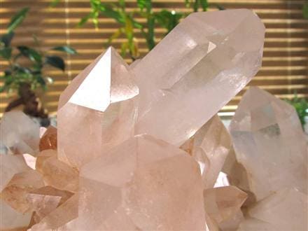 ◇超巨大クラスター◇入手困難サイズ！秘蔵放出◇『地球最後の秘境