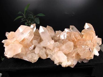 ◇超巨大クラスター◇入手困難サイズ！秘蔵放出◇『地球最後の秘境