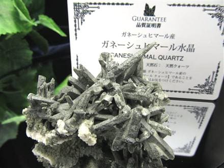 プレミア水晶入荷！】◇入手困難さダントツ！◇“神に最も近い場所” で