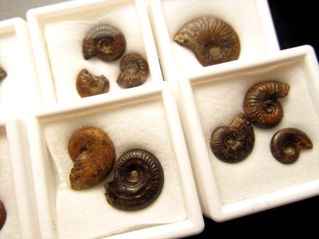 天然石アベンチュリンMIX細石　トイプードルのオルゴナイト置物　No.1919 天然石アベンチュリンMIX細石 トイプードルのオルゴナイト置物