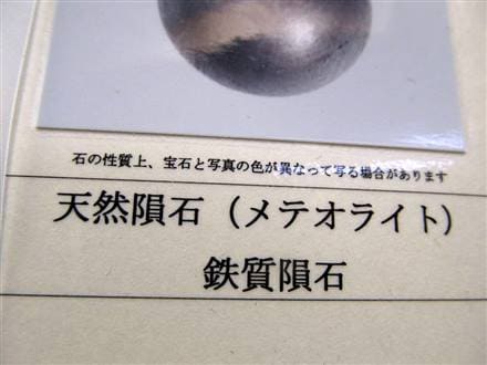 ◇超レア！1点のみ◇【鑑別書付属】◇約4億5千万年前の