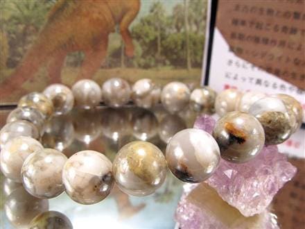 ◇流通量ほぼゼロ！◇恐竜のフンが運を呼ぶ◇1億年以上の時を超えた