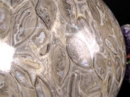 ◇希少！BIGサイズ◇古代生物のエネルギーを宿した石◇ウミユリの化石