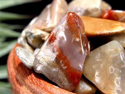 ◇世界初入荷！コプロライトさざれ◇1億年以上の時を超えた奇跡の化石