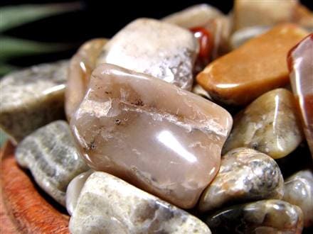 ◇世界初入荷！コプロライトさざれ◇1億年以上の時を超えた奇跡の化石