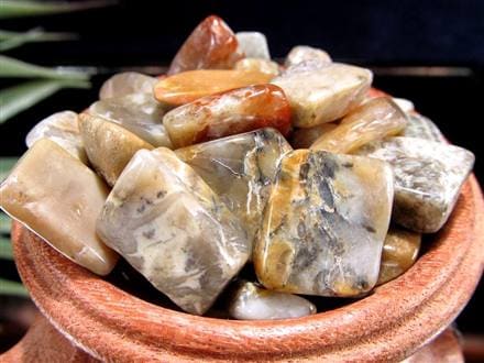 ◇世界初入荷！コプロライトさざれ◇1億年以上の時を超えた奇跡の化石