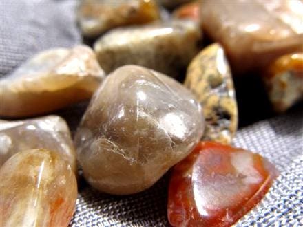 ◇世界初入荷！コプロライトさざれ◇1億年以上の時を超えた奇跡の化石