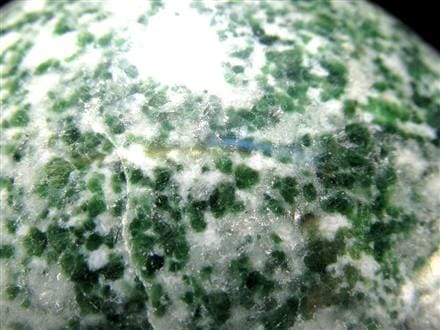 ☆白地に広がるグリーン模様☆森を思わせるナチュラルカラー