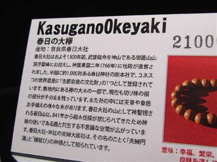 正規品】-世界銘木協会-◇伐採を禁じられた聖地！春日山の大欅