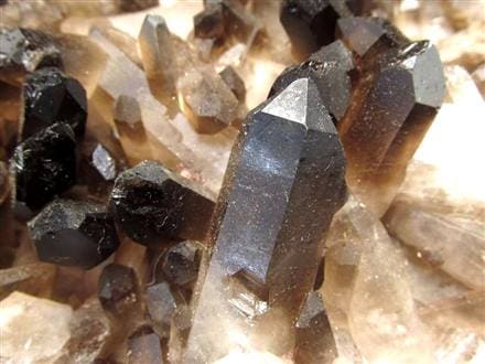 最大級　漆黒の魔除けの石「モリオン（黒水晶）クラスター」　約550g ミニクラスター 結晶 漆黒 インテリア オブジェ コレクション 風水