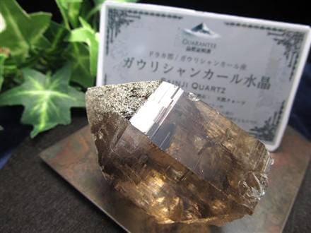 ◇産出量極少により入手困難!!◇ヒマラヤの厳しい大自然が生んだ奇跡の
