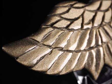 ◇大人気デザイン◇幸福を運ぶ天使の羽根モチーフ◇飛躍・上昇・天使の