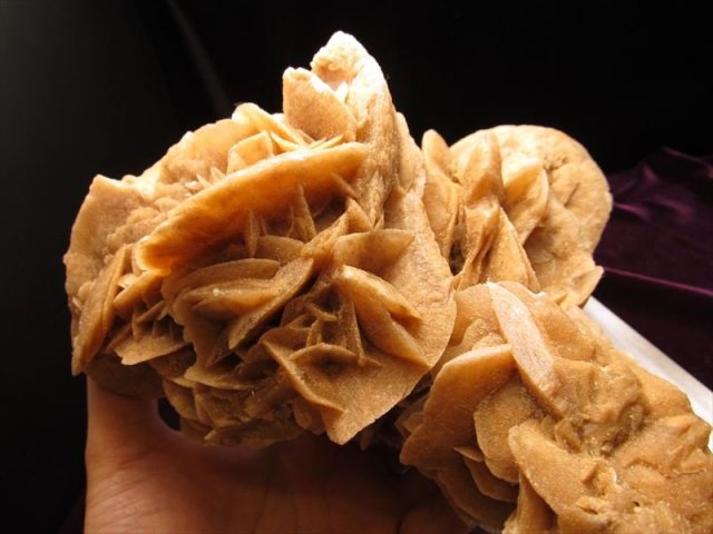 ◇大自然のアート◇【 砂漠のバラ 】◇フランス展示会商品◇サハラの