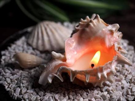 巻貝　大　オブジェ、魔除けに　天然物 imgrc0111221461.jpg