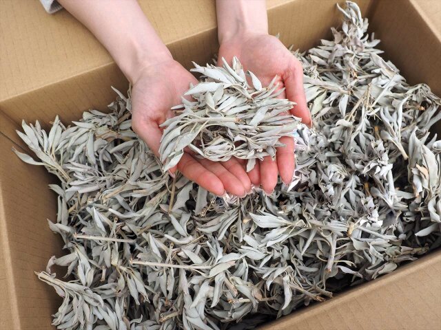 業界最安！】◇業務用 山盛り箱売り◇大特価！まとめ買いだからさらに