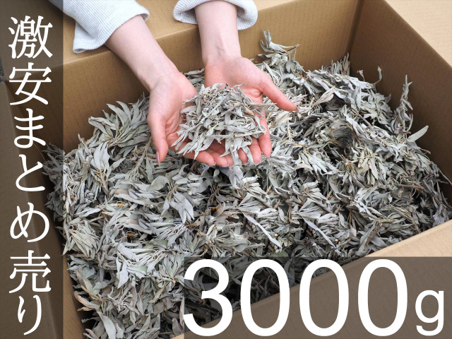 ★特選再入荷★無農薬カリフォルニア産【箱配送1kg高品質ホワイトセージ】❤️ ☆特選再入荷☆無農薬カリフォルニア産【箱配送1kg高品質ホワイト