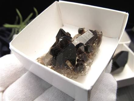 ◇限定！艶々極上モリオン◇貴重な漆黒の美結晶！◇アーカンソー産黒 