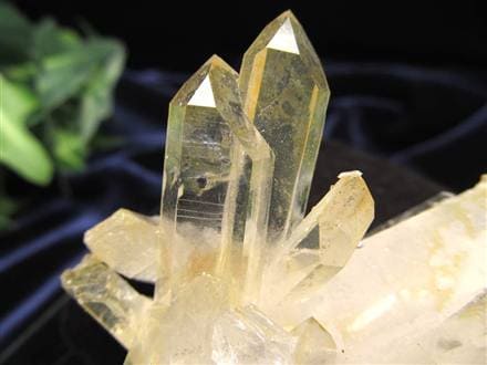 入手困難！希少クラスター】☆完全あるだけ！早い者勝ち☆天然オーラ