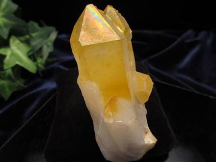 入手困難！希少クラスター】☆完全あるだけ！早い者勝ち☆天然オーラ