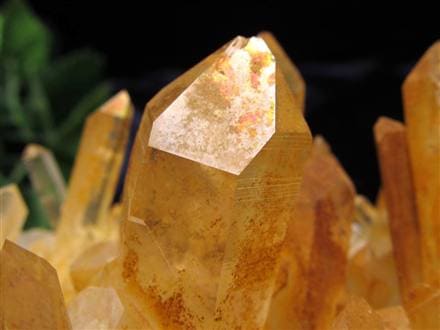 超希少 ゴールデンヒーラー クラスター ギャランティカード付き 超希少 ゴールデンヒーラー クラスター ギャランティカード付き 超希少