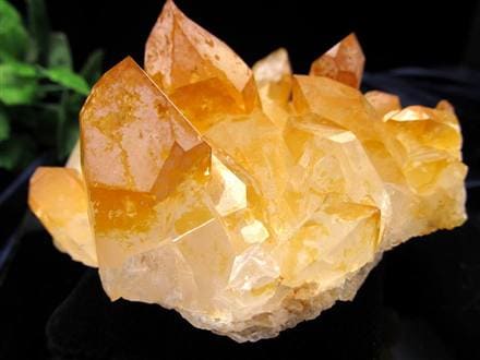 超希少 ゴールデンヒーラー クラスター ギャランティカード付き 超希少 ゴールデンヒーラー クラスター ギャランティカード付き