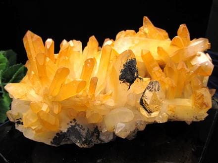 超希少 ゴールデンヒーラー クラスター ギャランティカード付き 超希少 ゴールデンヒーラー クラスター ギャランティカード付き