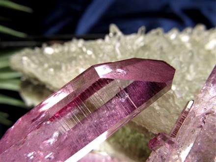 ☆超人気!!数量限定入荷☆妖艶で可愛らしいピンクパープル☆入手困難な