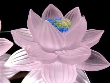 ◇クリアカラータイプ◇極楽浄土に咲く花！ロータスモチーフ◇幸運を