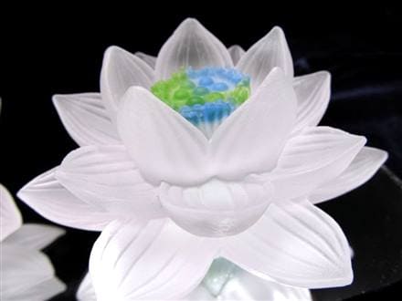 ◇クリアカラータイプ◇極楽浄土に咲く花！ロータスモチーフ◇幸運を