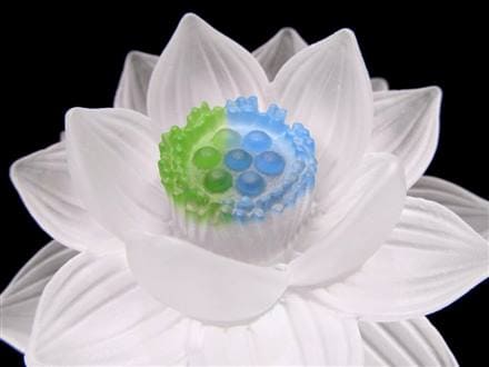 ◇クリアカラータイプ◇極楽浄土に咲く花！ロータスモチーフ◇幸運を