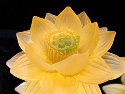 ◇クリアカラータイプ◇極楽浄土に咲く花！ロータスモチーフ◇幸運を