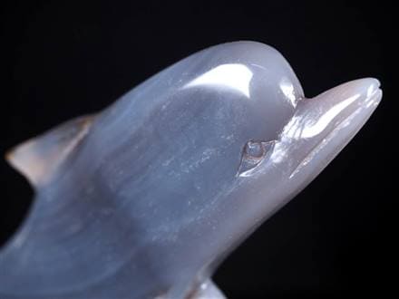 ☆数量限定入荷☆幸運を呼び込むキュートなイルカ☆失敗や不幸を