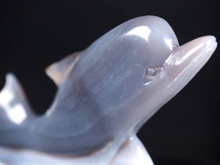 ☆数量限定入荷☆幸運を呼び込むキュートなイルカ☆失敗や不幸を