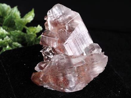 ◇極めて稀な母岩付き！◇メディアで話題騒然◇極上透明◇絶対に