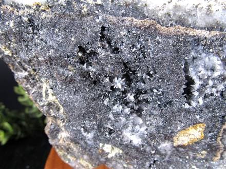 水晶と共生するパイライト（黄鉄鉱）の結晶です。 ◇当店初入荷！◇神秘の結晶群◇キラキラ黄金結晶！黄鉄鉱共生