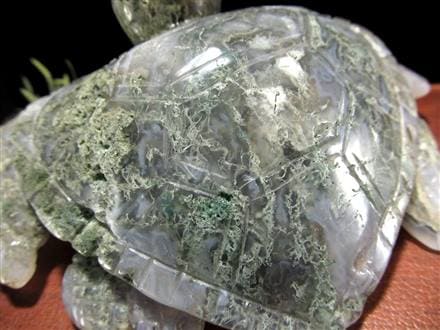 ◇極上！一刀一石彫り◇幸運をもたらす神聖な生き物◇健康と長寿の象徴