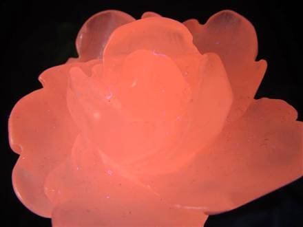 ☆美しい薔薇彫刻☆可愛らしい桜色☆妖艶なピンク発光☆極上カルサイト