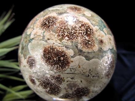 ☆数量限定入荷☆ボタニカルな花模様☆2020年に新発見された石