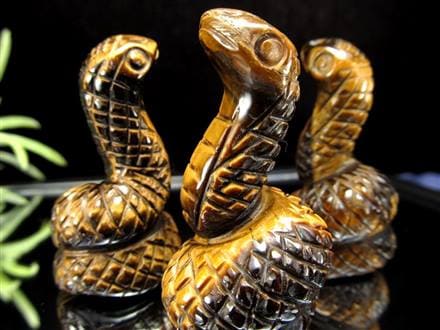 けい 金の虎さん、白蛇さん けい 金の虎さん、白蛇さん けい様