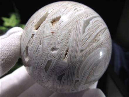 ☆一度見たら忘れられないインパクト！☆自然が作り出す芸術的模様