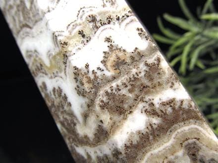 ☆自然が作り出す風景画！！☆美しい植物の形のインクルージョン