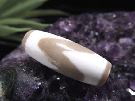 ◇当店初入荷！◇流通量が少ない激レア品！◇希少な玉化（ぎょくか