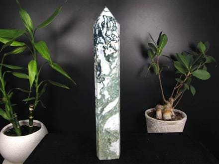 ◇限定入荷！◇自然の芸術品！苔模様が美しい◇大自然のエネルギーを