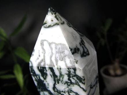 ◇限定入荷！◇自然の芸術品！苔模様が美しい◇大自然のエネルギーを