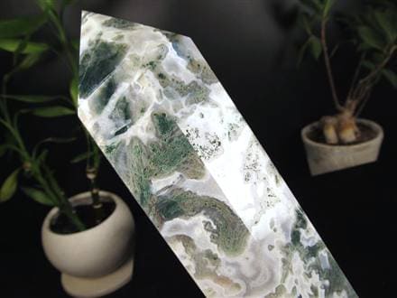 ◇限定入荷！◇自然の芸術品！苔模様が美しい◇大自然のエネルギーを