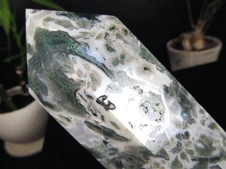 ◇限定入荷！◇自然の芸術品！苔模様が美しい◇大自然のエネルギーを