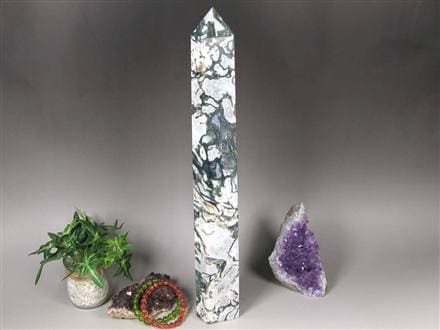 ◇限定入荷！◇巨大ポイント！◇自然の芸術品！苔模様が美しい◇大自然