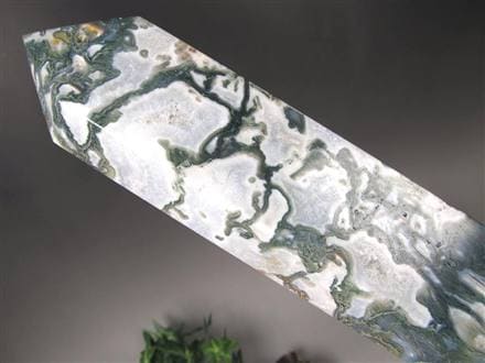 ◇限定入荷！◇巨大ポイント！◇自然の芸術品！苔模様が美しい◇大自然