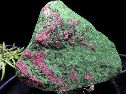 ◇圧倒的な存在感！鮮やかな2色の美しい色彩◇ベルベットのような  